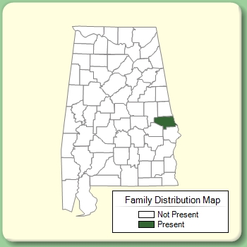 Family Distribution Map