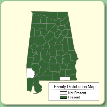 Family Distribution Map