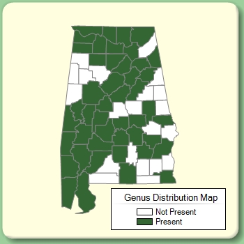 Genus Distribution Map