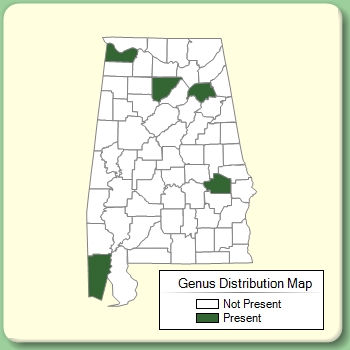 Genus Distribution Map