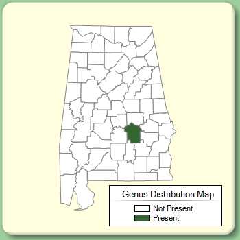 Genus Distribution Map