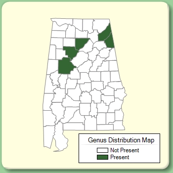 Genus Distribution Map