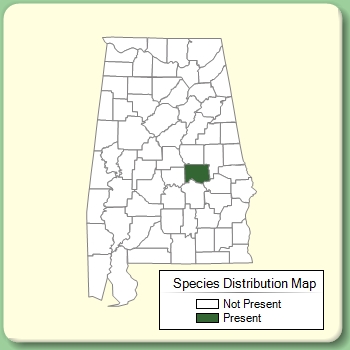 Species Distribution Map